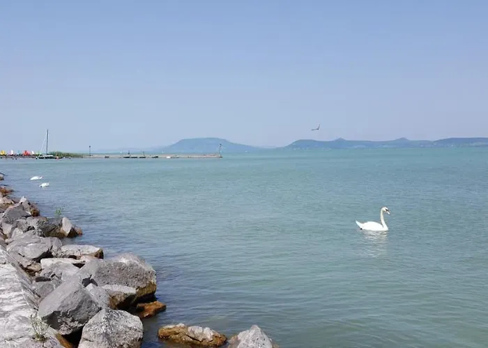 Lelle B20 דירה בלטונללה