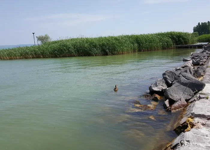 Lelle B20 דירה *